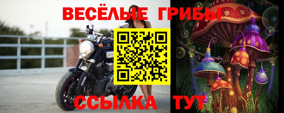 сколько стоит  Вход с VPN  Батайск  Галлюциногенные грибы MAGIC MUSHROOMS 